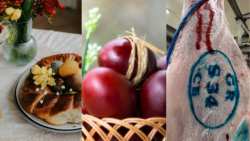 &Epsilon;&nu;&eta;&mu;έ&rho;&omega;&sigma;&eta; &tau;&omega;&nu; &kappa;&alpha;&tau;&alpha;&nu;&alpha;&lambda;&omega;&tau;ώ&nu; &gamma;&iota;&alpha; &tau;&eta;&nu; &epsilon;&omicron;&rho;&tau;&alpha;&sigma;&tau;&iota;&kappa;ή &pi;&epsilon;&rho;ί&omicron;&delta;&omicron; &tau;&omicron;&upsilon; &Pi;ά&sigma;&chi;&alpha; &alpha;&pi;ό &tau;&omicron;&nu; &Epsilon;&Phi;&Epsilon;&Tau;