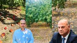 &Lambda;ά&kappa;&eta;&sigmaf; &Beta;&alpha;&sigma;&iota;&lambda;&epsilon;&iota;ά&delta;&eta;&sigmaf; &pi;&rho;&omicron;&sigmaf; &Upsilon;&pi;&Alpha;&Alpha;&Tau; &gamma;&iota;&alpha; &tau;&iota;&sigmaf; &beta;&rho;&omicron;&chi;&omicron;&pi;&tau;ώ&sigma;&epsilon;&iota;&sigmaf;: &Nu;&alpha; &delta;ώ&sigma;&epsilon;&iota; &tau;&omicron; &Upsilon;&Pi;&Alpha;&Alpha;&Tau; &mu;&iota;&alpha; &xi;&epsilon;&kappa;ά&theta;&alpha;&rho;&eta; &kappa;&alpha;&iota; &alpha;&iota;&tau;&iota;&omicron;&lambda;&omicron;&gamma;&eta;&mu;έ&nu;&eta; &alpha;&pi;ά&nu;&tau;&eta;&sigma;&eta; &gamma;&iota;&alpha; &tau;&eta;&nu; &tau;&epsilon;&lambda;&iota;&kappa;ή &tau;&omicron;&upsilon; &alpha;&pi;ό&phi;&alpha;&sigma;&eta;