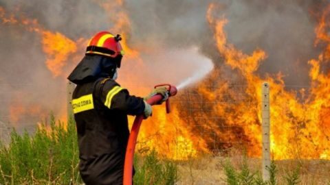 &Alpha;&kappa;ό&mu;&eta; &kappa;&alpha;&iota; &gamma;&iota;&alpha; &pi;&alpha;ύ&sigma;&eta; &tau;&eta;&nu; &epsilon;&pi;&iota;&delta;ό&tau;&eta;&sigma;&eta;&sigmaf; &sigma;&epsilon; ό&sigma;&omicron;&upsilon;&sigmaf; "&pi;&iota;&alpha;&sigma;&tau;&omicron;ύ&nu;" &nu;&alpha; &kappa;&alpha;ί&nu;&epsilon; &pi;&rho;&omicron;&epsilon;&iota;&delta;&omicron;&pi;&omicron;&iota;&epsilon;ί &omicron; &Pi;&epsilon;&rho;&iota;&phi;&epsilon;&rho;&epsilon;&iota;&alpha;&kappa;ό&sigmaf; &Delta;&iota;&omicron;&iota;&kappa;&eta;&tau;ή&sigmaf; &tau;&omega;&nu; &Pi;&upsilon;&rho;&omicron;&sigma;&beta;&epsilon;&sigma;&tau;&iota;&kappa;ώ&nu; &Delta;&upsilon;&nu;ά&mu;&epsilon;&omega;&nu; &tau;&eta;&sigmaf; &Kappa;&rho;ή&tau;&eta;&sigmaf;