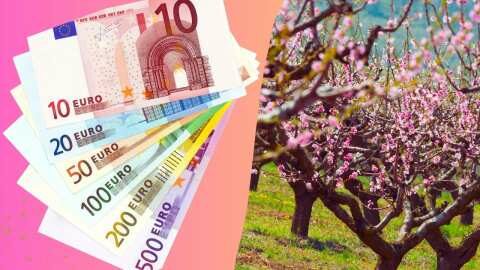 &Alpha;&pi;&omicron;&theta;&epsilon;&mu;&alpha;&tau;&iota;&kappa;ό &kappa;&rho;ί&sigma;&eta;&sigmaf; 41,3 &epsilon;&kappa;&alpha;&tau;. &epsilon;&upsilon;&rho;ώ &kappa;&alpha;&iota; &sigma;&tau;ή&rho;&iota;&xi;&eta; &alpha;&gamma;&rho;&omicron;&tau;ώ&nu; - &Epsilon;&rho;ώ&tau;&eta;&sigma;&eta; &Tau;&zeta;ά&kappa;&rho;&eta; &kappa;&alpha;&iota; 14 &beta;&omicron;&upsilon;&lambda;&epsilon;&upsilon;&tau;ώ&nu; &Sigma;&Upsilon;&Rho;&Iota;&Zeta;&Alpha;-&Pi;&Sigma; &sigma;&tau;&eta; &Beta;&omicron;&upsilon;&lambda;ή