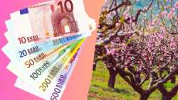 &Alpha;&pi;&omicron;&theta;&epsilon;&mu;&alpha;&tau;&iota;&kappa;ό &kappa;&rho;ί&sigma;&eta;&sigmaf; 41,3 &epsilon;&kappa;&alpha;&tau;. &epsilon;&upsilon;&rho;ώ &kappa;&alpha;&iota; &sigma;&tau;ή&rho;&iota;&xi;&eta; &alpha;&gamma;&rho;&omicron;&tau;ώ&nu; - &Epsilon;&rho;ώ&tau;&eta;&sigma;&eta; &Tau;&zeta;ά&kappa;&rho;&eta; &kappa;&alpha;&iota; 14 &beta;&omicron;&upsilon;&lambda;&epsilon;&upsilon;&tau;ώ&nu; &Sigma;&Upsilon;&Rho;&Iota;&Zeta;&Alpha;-&Pi;&Sigma; &sigma;&tau;&eta; &Beta;&omicron;&upsilon;&lambda;ή