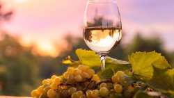 &Tau;&omicron; &Epsilon;&upsilon;&rho;&omega;&pi;&alpha;ϊ&kappa;ό &Kappa;&omicron;&iota;&nu;&omicron;&beta;&omicron;ύ&lambda;&iota;&omicron; &psi;ή&phi;&iota;&sigma;&epsilon; &upsilon;&pi;έ&rho; &tau;&omega;&nu; &iota;&delta;&iota;&alpha;&iota;&tau;&epsilon;&rho;&omicron;&tau;ή&tau;&omega;&nu; &tau;&omega;&nu; &Pi;&Omicron;&Pi; &kappa;&alpha;&iota; &Pi;&Gamma;&Epsilon; &omicron;ί&nu;&omega;&nu;