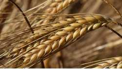 &Omicron;&iota; &Eta;&Pi;&Alpha; &kappa;&alpha;&tau;&alpha;&gamma;&gamma;έ&lambda;&omicron;&upsilon;&nu; ό&tau;&iota; &eta; &Rho;&omega;&sigma;ί&alpha; &alpha;&theta;&epsilon;&tau;&epsilon;ί &tau;&iota;&sigmaf; &delta;&epsilon;&sigma;&mu;&epsilon;ύ&sigma;&epsilon;&iota;&sigmaf; &tau;&eta;&sigmaf; &gamma;&iota;&alpha; &tau;&alpha; &omicron;&upsilon;&kappa;&rho;&alpha;&nu;&iota;&kappa;ά &sigma;&iota;&tau;&eta;&rho;ά