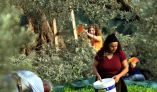 634 &epsilon;&pi;&iota;&pi;&lambda;έ&omicron;&nu; &delta;&iota;&kappa;&alpha;&iota;&omicron;ύ&chi;&omicron;&iota; &sigma;&tau;&omicron; &upsilon;&pi;&omicron;&mu;έ&tau;&rho;&omicron; 6.1 &Epsilon;&Gamma;&Kappa;&Alpha;&Tau;&Alpha;&Sigma;&Tau;&Alpha;&Sigma;&Eta; &Nu;&Epsilon;&Omega;&Nu; &Alpha;&Gamma;&Rho;&Omicron;&Tau;&Omega;&Nu; &tau;&omicron;&upsilon; &Pi;&rho;&omicron;&gamma;&rho;ά&mu;&mu;&alpha;&tau;&omicron;&sigmaf; &Alpha;&gamma;&rho;&omicron;&tau;&iota;&kappa;ή&sigmaf; &Alpha;&nu;ά&pi;&tau;&upsilon;&xi;&eta;&sigmaf; 2014-2020 &sigma;&tau;&eta;&nu; &Pi;&Kappa;&Mu;