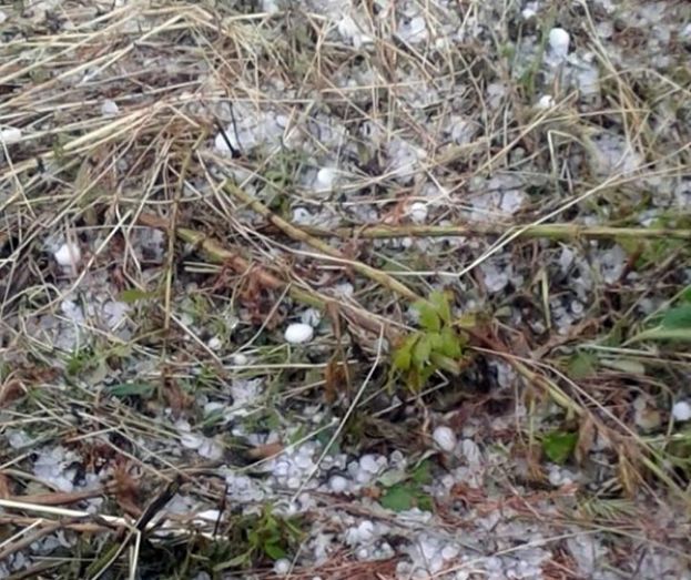 &Chi;&alpha;&lambda;ά&zeta;&iota; &pi;&rho;&omicron;&kappa;ά&lambda;&epsilon;&sigma;&epsilon; &kappa;&alpha;&tau;&alpha;&sigma;&tau;&rho;&omicron;&phi;έ&sigmaf; &sigma;&tau;&iota;&sigmaf; &kappa;&alpha;&lambda;&lambda;&iota;έ&rho;&gamma;&epsilon;&iota;&epsilon;&sigmaf; &tau;&omicron;&upsilon; &Nu;. &Kappa;&alpha;&rho;&delta;ί&tau;&sigma;&alpha;&sigmaf; - Έ&nu;&tau;&omicron;&nu;&eta; &chi;&alpha;&lambda;&alpha;&zeta;ό&pi;&tau;&omega;&sigma;&eta; &kappa;&alpha;&iota; &sigma;&tau;&eta; &Nu;&alpha;ύ&pi;&alpha;&kappa;&tau;&omicron; (&Beta;ί&nu;&tau;&epsilon;&omicron;)