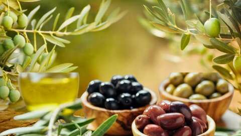 &Kappa;&alpha;&iota;&nu;&omicron;&tau;ό&mu;&alpha; &pi;&rho;&omicron;ϊό&nu;&tau;&alpha; &epsilon;&pi;&iota;&tau;&rho;&alpha;&pi;έ&zeta;&iota;&alpha;&sigmaf; &epsilon;&lambda;&iota;ά&sigmaf; &mu;&epsilon; &chi;&alpha;&mu;&eta;&lambda;ή &pi;&epsilon;&rho;&iota;&epsilon;&kappa;&tau;&iota;&kappa;ό&tau;&eta;&tau;&alpha; &sigma;&epsilon; &alpha;&lambda;ά&tau;&iota; &kappa;&alpha;&iota; &alpha;&upsilon;&xi;&eta;&mu;έ&nu;&eta; &delta;&iota;ά&rho;&kappa;&epsilon;&iota;&alpha; &zeta;&omega;ή&sigmaf;