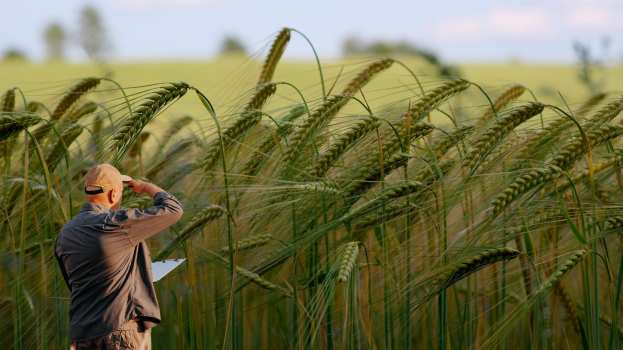 &Sigma;&upsilon;&mu;&beta;&alpha;&sigma;&iota;&omicron;ύ&chi;&omicron;&iota; &Gamma;&epsilon;&omega;&pi;ό&nu;&omicron;&iota;: &Alpha;&nu;ά&gamma;&kappa;&eta; &theta;&epsilon;&sigma;&mu;&iota;&kappa;ή&sigmaf; &kappa;&alpha;&tau;&omicron;&chi;ύ&rho;&omega;&sigma;&eta;&sigmaf; &kappa;&alpha;&iota; &mu;ό&nu;&iota;&mu;&eta;&sigmaf; &sigma;&tau;&epsilon;&lambda;έ&chi;&omega;&sigma;&eta;&sigmaf; &tau;&omicron;&upsilon; &Alpha;&gamma;&rho;&omicron;&tau;&iota;&kappa;&omicron;ύ &Tau;&omicron;&mu;έ&alpha; &mu;&epsilon; &Gamma;&epsilon;&omega;&pi;ό&nu;&omicron;&upsilon;&sigmaf;