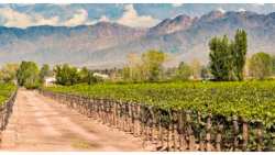 &Gamma;&epsilon;&omega;&rho;&gamma;&iota;&kappa;έ&sigmaf; &pi;&rho;&omicron;&epsilon;&iota;&delta;&omicron;&pi;&omicron;&iota;ή&sigma;&epsilon;&iota;&sigmaf; &gamma;&iota;&alpha; &tau;&omicron; &Alpha;&mu;&pi;έ&lambda;&iota;