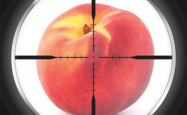 &Epsilon;&nu;&eta;&mu;έ&rho;&omega;&sigma;&eta; &rho;&omicron;&delta;&alpha;&kappa;&iota;&nu;&omicron;&pi;&alpha;&rho;&alpha;&gamma;&omega;&gamma;ώ&nu; &gamma;&iota;&alpha; &Beta;&rho;&omicron;&chi;&omicron;&pi;&tau;ώ&sigma;&epsilon;&iota;&sigmaf; - &Epsilon;&mu;&pi;ά&rho;&gamma;&kappa;&omicron;