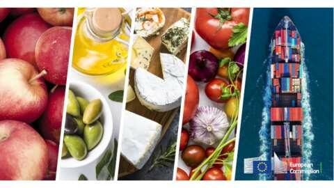 &Tau;&omicron; &epsilon;&mu;&pi;ό&rho;&iota;&omicron; &gamma;&epsilon;&omega;&rho;&gamma;&iota;&kappa;ώ&nu; &pi;&rho;&omicron;ϊό&nu;&tau;&omega;&nu; &delta;&iota;&alpha;&tau;&rho;&omicron;&phi;ή&sigmaf; &tau;&eta;&sigmaf; &Epsilon;&Epsilon; &alpha;&upsilon;&xi;ή&theta;&eta;&kappa;&epsilon; &tau;&omicron;&nu; &Iota;&omicron;ύ&lambda;&iota;&omicron; &tau;&omicron;&upsilon; 2024
