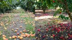 &Tau;&iota; &sigma;&upsilon;&mu;&beta;&alpha;ί&nu;&epsilon;&iota; &mu;&epsilon; &tau;&eta;&nu; &alpha;&lambda;&lambda;&alpha;&gamma;ή &tau;&omicron;&upsilon; &kappa;&alpha;&nu;&omicron;&nu;&iota;&sigma;&mu;&omicron;ύ &tau;&omicron;&upsilon; &Epsilon;&Lambda;&Gamma;&Alpha;; &Pi;&omicron;&iota;&alpha; &tau;&alpha; &epsilon;&mu;&pi;ό&delta;&iota;&alpha; &kappa;&alpha;&iota; &gamma;&iota;&alpha;&tau;ί &delta;&epsilon;&nu; &pi;&rho;&omicron;&chi;&omega;&rho;ά&epsilon;&iota;;