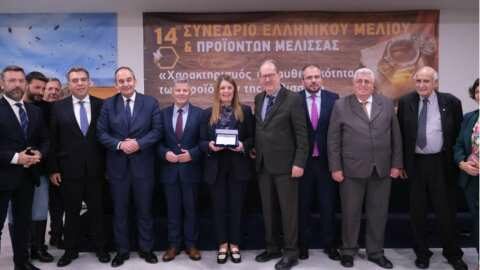 &Tau;&iota;&mu;ώ&mu;&epsilon;&nu;&eta; &eta; &Pi;&epsilon;&rho;&iota;&phi;έ&rho;&epsilon;&iota;&alpha; &Kappa;&rho;ή&tau;&eta;&sigmaf; &sigma;&tau;&omicron; 14&omicron; &Phi;&epsilon;&sigma;&tau;&iota;&beta;ά&lambda; &Epsilon;&lambda;&lambda;&eta;&nu;&iota;&kappa;&omicron;ύ &Mu;&epsilon;&lambda;&iota;&omicron;ύ