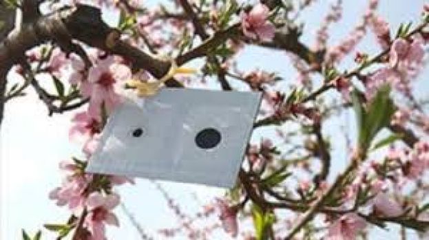 &Nu;&epsilon;ό&tau;&epsilon;&rho;&epsilon;&sigmaf; &epsilon;&xi;&epsilon;&lambda;ί&xi;&epsilon;&iota;&sigmaf; &sigma;&tau;&omicron; &theta;έ&mu;&alpha; &alpha;&pi;&omicron;&pi;&lambda;&eta;&rho;&omega;&mu;ή&sigmaf; &tau;&omicron;&upsilon; &mu;έ&tau;&rho;&omicron;&upsilon; 10.1.08 (&Kappa;&omicron;&mu;&phi;&omicron;ύ&zeta;&iota;&omicron;)