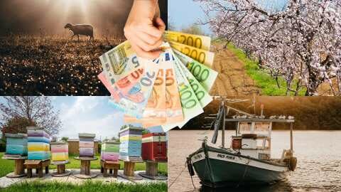 &Pi;&omicron;&iota;&alpha; &epsilon;ί&nu;&alpha;&iota; &tau;&alpha; &mu;έ&tau;&rho;&alpha; &pi;&omicron;&upsilon; &alpha;&nu;&alpha;&kappa;&omicron;ί&nu;&omega;&sigma;&epsilon; &omicron; &Upsilon;&pi;&omicron;&upsilon;&rho;&gamma;ό&sigmaf; &Alpha;&gamma;&rho;&omicron;&tau;&iota;&kappa;ή&sigmaf; &Alpha;&nu;ά&pi;&tau;&upsilon;&xi;&eta;&sigmaf; &Kappa;ώ&sigma;&tau;&alpha;&sigmaf; &Tau;&sigma;&iota;ά&rho;&alpha;&sigmaf; &sigma;&epsilon; &sigma;ύ&sigma;&kappa;&epsilon;&psi;&eta; &mu;&epsilon; &pi;&alpha;&rho;&alpha;&gamma;&omega;&gamma;&omicron;ύ&sigmaf; &sigma;&tau;&eta;&nu; &Alpha;&lambda;&epsilon;&xi;&alpha;&nu;&delta;&rho;&omicron;ύ&pi;&omicron;&lambda;&eta;