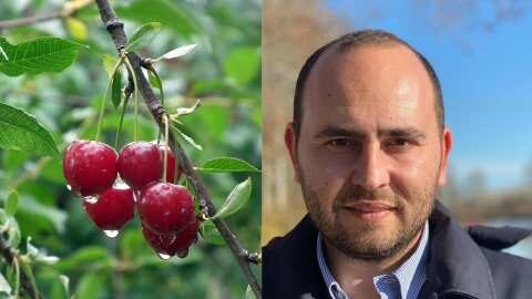 &Alpha;&nu;&omicron;ί&gamma;&omicron;&upsilon;&nu; &omicron;&iota; &alpha;&nu;&alpha;&gamma;&gamma;&epsilon;&lambda;ί&epsilon;&sigmaf; &gamma;&iota;&alpha; &tau;&alpha; &Kappa;&epsilon;&rho;ά&sigma;&iota;&alpha;