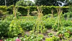 &Tau;&rho;ό&pi;&omicron;&iota; &gamma;&iota;&alpha; &nu;&alpha; έ&chi;&epsilon;&tau;&epsilon; &upsilon;&psi;&eta;&lambda;έ&sigmaf; &alpha;&pi;&omicron;&delta;ό&sigma;&epsilon;&iota;&sigmaf; &sigma;&tau;&omicron; &lambda;&alpha;&chi;&alpha;&nu;ό&kappa;&eta;&pi;&omicron; &sigma;&alpha;&sigmaf;