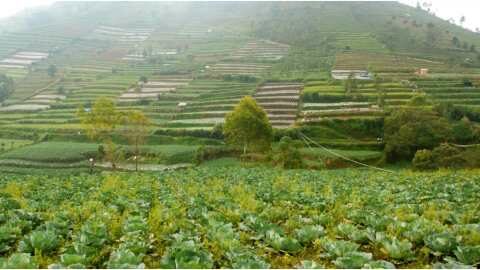&Kappa;&alpha;&lambda;&lambda;&iota;έ&rho;&gamma;&epsilon;&iota;&alpha; &kappa;&eta;&pi;&epsilon;&upsilon;&tau;&iota;&kappa;ώ&nu;: &Pi;&rho;ώ&tau;&eta; &sigma;&upsilon;&nu;ά&nu;&tau;&eta;&sigma;&eta; &tau;&eta;&sigmaf; &omicron;&mu;ά&delta;&alpha;&sigmaf; &epsilon;&rho;&gamma;&alpha;&sigma;ί&alpha;&sigmaf; &sigma;&tau;&eta;&nu; &Pi;&epsilon;&rho;&iota;&phi;έ&rho;&epsilon;&iota;&alpha; &Kappa;&rho;ή&tau;&eta;&sigmaf;