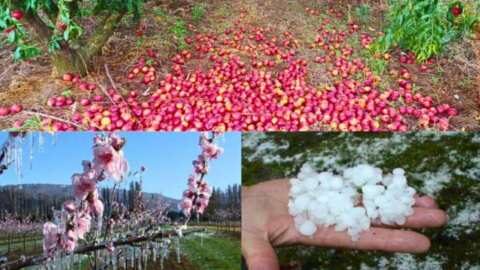 &Kappa;&lambda;&iota;&mu;&alpha;&tau;&iota;&kappa;ή &alpha;&lambda;&lambda;&alpha;&gamma;ή: &Theta;έ&sigma;&epsilon;&iota;&sigmaf; &kappa;&alpha;&iota; &pi;&rho;&omicron;&tau;ά&sigma;&epsilon;&iota;&sigmaf; &tau;&eta;&sigmaf; &Pi;&Alpha;&Nu;&Epsilon;&Lambda;&Lambda;&Eta;&Nu;&Iota;&Alpha;&Sigma; &Epsilon;&Nu;&Omega;&Sigma;&Eta;&Sigma; &Sigma;&Upsilon;&Mu;&Beta;&Alpha;&Sigma;&Iota;&Omicron;&Upsilon;&Chi;&Omega;&Nu; &Gamma;&Epsilon;&Omega;&Pi;&Omicron;&Nu;&Omega;&Nu;