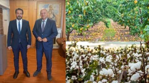 &Gamma;&iota;&alpha; &tau;&iota;&sigmaf; &alpha;&pi;&omicron;&zeta;&eta;&mu;&iota;ώ&sigma;&epsilon;&iota;&sigmaf; &alpha;&pi;ό &beta;&rho;&omicron;&chi;&omicron;&pi;&tau;ώ&sigma;&epsilon;&iota;&sigmaf; &sigma;&tau;&omicron; &rho;&omicron;&delta;ά&kappa;&iota;&nu;&omicron; &kappa;&alpha;&iota; &tau;&eta;&nu; &Epsilon;&iota;&delta;&iota;&kappa;ή &Epsilon;&nu;ί&sigma;&chi;&upsilon;&sigma;&eta; &sigma;&tau;&omicron; &Beta;&alpha;&mu;&beta;ά&kappa;&iota; έ&kappa;&alpha;&nu;&epsilon; &pi;&alpha;&rho;έ&mu;&beta;&alpha;&sigma;&eta; &sigma;&tau;&omicron;&nu; &Upsilon;&pi;&Alpha;&Alpha;&Tau; &omicron; &Tau;ά&sigma;&omicron;&sigmaf; &Mu;&pi;&alpha;&rho;&tau;&zeta;ώ&kappa;&alpha;&sigmaf;