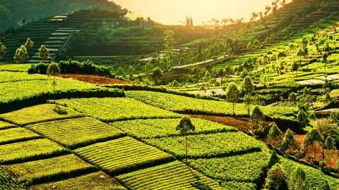 &Epsilon;&upsilon;&kappa;&alpha;&iota;&rho;ί&epsilon;&sigmaf; &gamma;&iota;&alpha; &nu;έ&omicron;&upsilon;&sigmaf; &sigma;&epsilon; &alpha;&gamma;&rho;&omicron;&tau;&iota;&kappa;έ&sigmaf; &kappa;&alpha;&iota; &alpha;&pi;&omicron;&mu;&alpha;&kappa;&rho;&upsilon;&sigma;&mu;έ&nu;&epsilon;&sigmaf; &pi;&epsilon;&rho;&iota;&omicron;&chi;έ&sigmaf; | &Alpha;&gamma;&rho;&omicron;&tau;&iota;&kappa;ά &nu;έ&alpha; &kappa;&alpha;&iota; &epsilon;&iota;&delta;ή&sigma;&epsilon;&iota;&sigmaf; imathiotikigi.gr