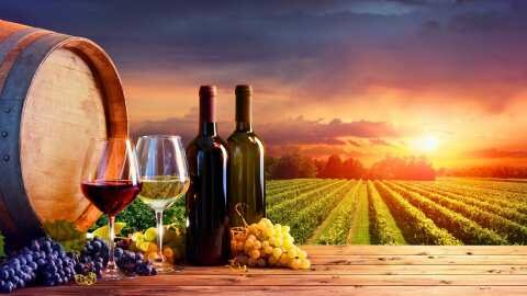 &Beta;&rho;&upsilon;&xi;έ&lambda;&lambda;&epsilon;&sigmaf;: &Delta;&epsilon;&nu; &theta;&alpha; &upsilon;&pi;ά&rho;&xi;&epsilon;&iota; &pi;&rho;&omicron;&sigma;&omega;&rho;&iota;&nu;ή &epsilon;&kappa;&rho;ί&zeta;&omega;&sigma;&eta; &alpha;&mu;&pi;&epsilon;&lambda;&iota;ώ&nu;, &alpha;&lambda;&lambda;ά &mu;&epsilon;&gamma;&alpha;&lambda;ύ&tau;&epsilon;&rho;&omicron; &chi;&rho;&omicron;&nu;&iota;&kappa;ό &delta;&iota;ά&sigma;&tau;&eta;&mu;&alpha; &pi;&rho;&iota;&nu; &tau;&eta;&nu; &alpha;&nu;&alpha;&phi;ύ&tau;&epsilon;&upsilon;&sigma;&eta;