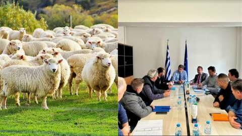 &Epsilon;&upsilon;&lambda;&omicron;&gamma;&iota;ά &sigma;&tau;&alpha; &alpha;&iota;&gamma;&omicron;&pi;&rho;ό&beta;&alpha;&tau;&alpha;: &Sigma;&upsilon;&nu;ά&nu;&tau;&eta;&sigma;&eta; &Alpha;&upsilon;&gamma;&epsilon;&nu;ά&kappa;&eta; &mu;&epsilon; &kappa;&tau;&eta;&nu;&omicron;&tau;&rho;ό&phi;&omicron;&upsilon;&sigmaf; &tau;&eta;&sigmaf; &Alpha;&tau;&alpha;&lambda;ά&nu;&tau;&eta;&sigmaf;