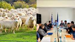 &Epsilon;&upsilon;&lambda;&omicron;&gamma;&iota;ά &sigma;&tau;&alpha; &alpha;&iota;&gamma;&omicron;&pi;&rho;ό&beta;&alpha;&tau;&alpha;: &Sigma;&upsilon;&nu;ά&nu;&tau;&eta;&sigma;&eta; &Alpha;&upsilon;&gamma;&epsilon;&nu;ά&kappa;&eta; &mu;&epsilon; &kappa;&tau;&eta;&nu;&omicron;&tau;&rho;ό&phi;&omicron;&upsilon;&sigmaf; &tau;&eta;&sigmaf; &Alpha;&tau;&alpha;&lambda;ά&nu;&tau;&eta;&sigmaf;