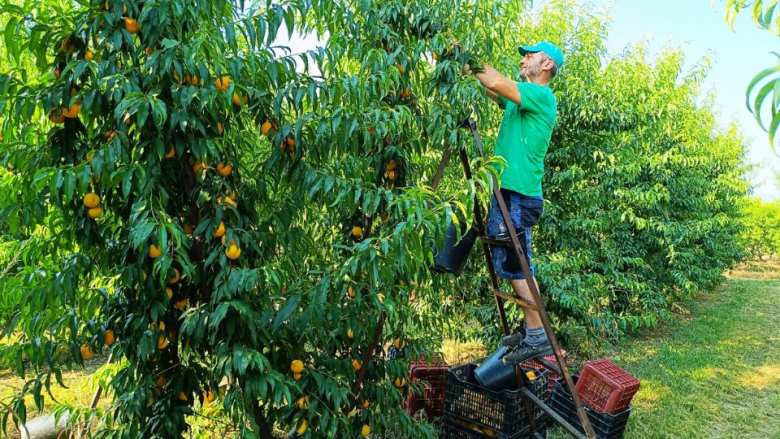 &Sigma;&epsilon; &alpha;&delta;&iota;έ&xi;&omicron;&delta;&omicron; &omicron;&iota; &alpha;&gamma;&rho;ό&tau;&epsilon;&sigmaf;: &Chi;&omega;&rho;ί&sigmaf; &epsilon;&rho;&gamma;ά&tau;&epsilon;&sigmaf; &gamma;&eta;&sigmaf;, &kappa;ί&nu;&delta;&upsilon;&nu;&omicron;&sigmaf; &gamma;&iota;&alpha; &tau;&eta; &phi;&epsilon;&tau;&iota;&nu;ή &pi;&alpha;&rho;&alpha;&gamma;&omega;&gamma;ή (&Beta;ί&nu;&tau;&epsilon;&omicron;)