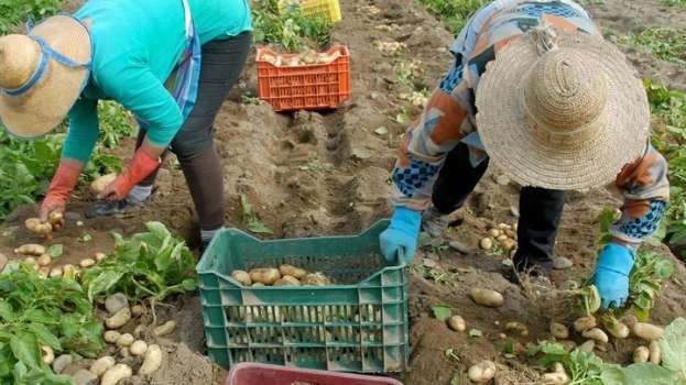 207 έ&lambda;&epsilon;&gamma;&chi;&omicron;&iota; &tau;&eta;&sigmaf; &Epsilon;&pi;&iota;&theta;&epsilon;ώ&rho;&eta;&sigma;&eta;&sigmaf; &Epsilon;&rho;&gamma;&alpha;&sigma;ί&alpha;&sigmaf;, &gamma;&iota;&alpha; &tau;&eta;&nu; &kappa;&alpha;&tau;&alpha;&pi;&omicron;&lambda;έ&mu;&eta;&sigma;&eta; &tau;&eta;&sigmaf; &epsilon;&mu;&pi;&omicron;&rho;ί&alpha;&sigmaf; &alpha;&nu;&theta;&rho;ώ&pi;&omega;&nu;