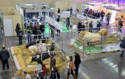 &Epsilon;&xi;&alpha;&sigma;&phi;&alpha;&lambda;ί&sigma;&tau;&epsilon; &tau;&eta; &sigma;&upsilon;&mu;&mu;&epsilon;&tau;&omicron;&chi;ή &sigma;&alpha;&sigmaf; &sigma;&tau;&eta; Zootechnia 2025