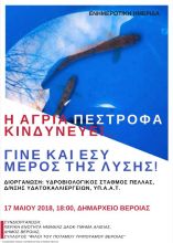 &Eta;&mu;&epsilon;&rho;ί&delta;&alpha;: &laquo;&Eta; ά&gamma;&rho;&iota;&alpha; &pi;έ&sigma;&tau;&rho;&omicron;&phi;&alpha; &kappa;&iota;&nu;&delta;&upsilon;&nu;&epsilon;ύ&epsilon;&iota;&hellip; &Gamma;ί&nu;&epsilon; &kappa;&alpha;&iota; &epsilon;&sigma;ύ &mu;έ&rho;&omicron;&sigmaf; &tau;&eta;&sigmaf; &lambda;ύ&sigma;&eta;&sigmaf;!&raquo;