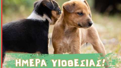 &laquo;&Eta;&mu;έ&rho;&alpha; &upsilon;&iota;&omicron;&theta;&epsilon;&sigma;ί&alpha;&sigmaf; &alpha;&delta;έ&sigma;&pi;&omicron;&tau;&omega;&nu;&raquo; &tau;&omicron; &Sigma;ά&beta;&beta;&alpha;&tau;&omicron; 4 &Alpha;&pi;&rho;&iota;&lambda;ί&omicron;&upsilon; &sigma;&tau;&omicron; &Lambda;&iota;&tau;ό&chi;&omega;&rho;&omicron;