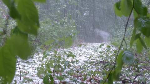 &Kappa;&omicron;&iota;&nu;&omicron;&pi;&omicron;ί&eta;&sigma;&eta; &pi;&omicron;&rho;&iota;&sigma;&mu;ά&tau;&omega;&nu; &epsilon;&kappa;&tau;ί&mu;&eta;&sigma;&eta;&sigmaf; &zeta;&eta;&mu;&iota;ώ&nu; &alpha;&pi;ό &chi;&alpha;&lambda;ά&zeta;&iota; 21/5/2025 &gamma;&iota;&alpha; &tau;&omicron; &alpha;&gamma;&rho;ό&kappa;&tau;&eta;&mu;&alpha; &Beta;έ&rho;&omicron;&iota;&alpha;&sigmaf; | &Alpha;&gamma;&rho;&omicron;&tau;&iota;&kappa;ά &nu;έ&alpha; IMATHIOTIKIGI.GR