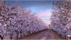 &Gamma;&epsilon;&omega;&rho;&gamma;&iota;&kappa;έ&sigmaf; &pi;&rho;&omicron;&epsilon;&iota;&delta;&omicron;&pi;&omicron;&iota;ή&sigma;&epsilon;&iota;&sigmaf; &gamma;&iota;&alpha; &tau;&eta;&nu; &Alpha;&mu;&upsilon;&gamma;&delta;&alpha;&lambda;&iota;ά