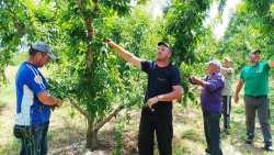 &Sigma;&tau;&eta; &Beta;&omicron;&upsilon;&lambda;ή &eta; &sigma;&upsilon;&mu;&phi;&omega;&nu;ί&alpha; &Epsilon;&lambda;&lambda;ά&delta;&alpha;&sigmaf; - &Alpha;&iota;&gamma;ύ&pi;&tau;&omicron;&upsilon; &gamma;&iota;&alpha; &epsilon;ί&sigma;&omicron;&delta;&omicron; 5000 &epsilon;&rho;&gamma;&alpha;&tau;ώ&nu; &gamma;&eta;&sigmaf;