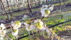 &Pi;&alpha;&gamma;&epsilon;&tau;ό&sigmaf; : &Zeta;&eta;&mu;&iota;έ&sigmaf; &sigma;&tau;&iota;&sigmaf; &kappa;&alpha;&lambda;&lambda;&iota;έ&rho;&gamma;&epsilon;&iota;&epsilon;&sigmaf; &sigma;&tau;&omicron;&nu; &Delta;ή&mu;&omicron; &Tau;&epsilon;&mu;&pi;ώ&nu; &sigma;&tau;&eta; &Lambda;ά&rho;&iota;&sigma;&alpha;