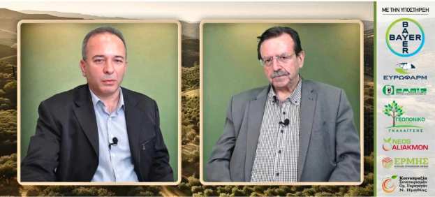 &Pi;&rho;&epsilon;&mu;&iota;έ&rho;&alpha; &gamma;&iota;&alpha; &tau;&eta;&nu; &delta;&iota;&alpha;&delta;&iota;&kappa;&tau;&upsilon;&alpha;&kappa;ή &epsilon;&kappa;&pi;&omicron;&mu;&pi;ή &laquo;&Epsilon;&Lambda;&Lambda;&Eta;&Nu;&Iota;&Kappa;&Eta; &Pi;&Alpha;&Rho;&Alpha;&Gamma;&Omega;&Gamma;&Eta;&raquo; - &Pi;&alpha;&rho;&omicron;&upsilon;&sigma;&iota;ά&zeta;&epsilon;&iota; &omicron; &Chi;&rho;ή&sigma;&tau;&omicron;&sigmaf; &Beta;&omicron;&rho;&gamma;&iota;ά&delta;&eta;&sigmaf;