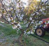 &Pi;ά&gamma;&omega;&sigma;&alpha;&nu; &omicron;&iota; &kappa;&epsilon;&rho;&alpha;&sigma;&iota;έ&sigmaf; &sigma;&tau;&omicron;&upsilon;&sigmaf; &nu;&omicron;&mu;&omicron;ύ&sigmaf; &Pi;έ&lambda;&lambda;&alpha;&sigmaf; &kappa;&alpha;&iota; &Eta;&mu;&alpha;&theta;ί&alpha;&sigmaf; &alpha;&pi;ό &tau;&omicron;&nu; &pi;&alpha;&gamma;&epsilon;&tau;ό &tau;&eta;&sigmaf; &Mu;.&Pi;έ&pi;&tau;&eta;&sigmaf; 16&eta;&sigmaf; &Alpha;&pi;&rho;&iota;&lambda;ί&omicron;&upsilon; 2020
