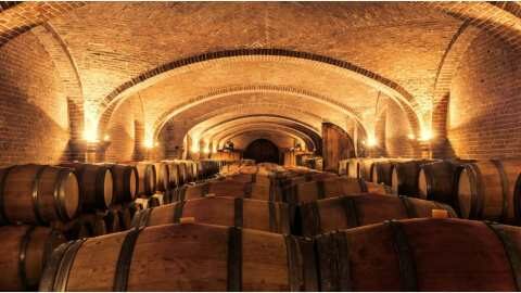 14 &epsilon;&kappa;&alpha;&tau;&omicron;&mu;&mu;ύ&rho;&iota;&alpha; hl &kappa;&rho;&alpha;&sigma;&iota;&omicron;ύ &epsilon;&pi;&alpha;&nu;&epsilon;&xi;ά&gamma;&omicron;&nu;&tau;&alpha;&iota; &pi;&alpha;&gamma;&kappa;&omicron;&sigma;&mu;ί&omega;&sigmaf;: &omicron;&iota; &delta;&iota;&alpha;&delta;&rho;&omicron;&mu;έ&sigmaf;