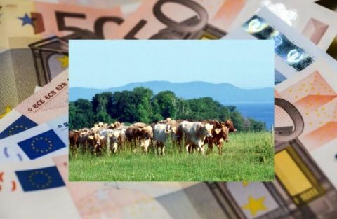 &Epsilon;&pi;&iota;&pi;&lambda;έ&omicron;&nu; &sigma;&tau;ή&rho;&iota;&xi;&eta; &sigma;&tau;&omicron;&upsilon;&sigmaf; &kappa;&tau;&eta;&nu;&omicron;&tau;&rho;ό&phi;&omicron;&upsilon;&sigmaf; &tau;&omega;&nu; &nu;&eta;&sigma;&iota;ώ&nu; &tau;&omicron;&upsilon; &Alpha;&iota;&gamma;&alpha;ί&omicron;&upsilon;