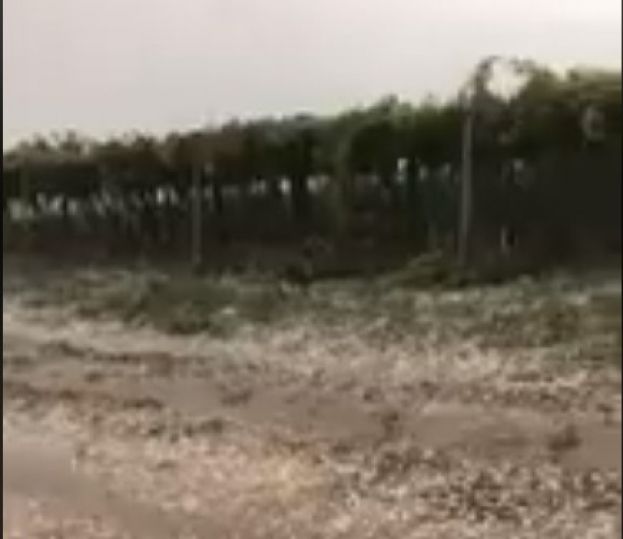 &Iota;&sigma;&chi;&upsilon;&rho;ή &chi;&alpha;&lambda;&alpha;&zeta;ό&pi;&tau;&omega;&sigma;&eta; έ&pi;&lambda;&eta;&xi;&epsilon; &kappa;&alpha;&lambda;&lambda;&iota;έ&rho;&gamma;&epsilon;&iota;&epsilon;&sigmaf; &sigma;&tau;&eta;&nu; &Iota;&tau;&alpha;&lambda;ί&alpha; (&Beta;ί&nu;&tau;&epsilon;&omicron; &amp; &Phi;&omega;&tau;&omicron;&gamma;&rho;&alpha;&phi;ί&epsilon;&sigmaf;)