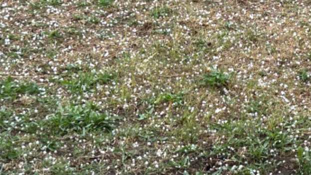 &Xi;&alpha;&phi;&nu;&iota;&kappa;ό &kappa;&alpha;&lambda;&omicron;&kappa;&alpha;&iota;&rho;&iota;&nu;ό &mu;&pi;&omicron;&upsilon;&rho;ί&nu;&iota; &mu;&epsilon; έ&nu;&tau;&omicron;&nu;&eta; &beta;&rho;&omicron;&chi;ό&pi;&tau;&omega;&sigma;&eta; &kappa;&alpha;&iota; &chi;&alpha;&lambda;ά&zeta;&iota; &sigma;&tau;&eta;&nu; &Pi;.&Epsilon;. &Kappa;&alpha;&sigma;&tau;&omicron;&rho;&iota;ά&sigmaf;