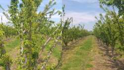 &Alpha;&pi;ό&phi;&alpha;&sigma;&eta; &gamma;&iota;&alpha; &pi;&alpha;&rho;ά&sigma;&tau;&alpha;&sigma;&eta; &delta;&iota;&alpha;&mu;&alpha;&rho;&tau;&upsilon;&rho;ί&alpha;&sigmaf; &sigma;&tau;&omicron; &upsilon;&pi;&omicron;&kappa;&alpha;&tau;ά&sigma;&tau;&eta;&mu;&alpha; &tau;&omicron;&upsilon; &Epsilon;&Lambda;&Gamma;&Alpha; &sigma;&tau;&eta; &Beta;έ&rho;&omicron;&iota;&alpha; &alpha;&pi;ό &tau;&omicron; &Alpha;&Sigma; &Nu;ά&omicron;&upsilon;&sigma;&alpha;&sigmaf; "&Mu;&Alpha;&Rho;&Iota;&Nu;&Omicron;&Sigma; &Alpha;&Nu;&Tau;&Upsilon;&Pi;&Alpha;&Sigma;"