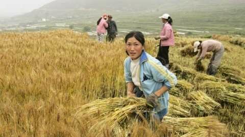 &Sigma;&iota;&tau;&eta;&rho;ά-&Kappa;ί&nu;&alpha;: &Eta; &omicron;&iota;&kappa;&omicron;&nu;&omicron;&mu;ί&alpha; &chi;&alpha;&mu;&eta;&lambda;&omicron;ύ ύ&psi;&omicron;&upsilon;&sigmaf; έ&chi;&epsilon;&iota; &pi;&rho;&omega;&tau;&alpha;&gamma;&omega;&nu;&iota;&sigma;&tau;&iota;&kappa;ό &rho;ό&lambda;&omicron; &sigma;&tau;&eta;&nu; &kappa;&alpha;&lambda;&lambda;&iota;έ&rho;&gamma;&epsilon;&iota;&alpha; &mu;&epsilon;&gamma;ά&lambda;&omega;&nu; &epsilon;&kappa;&tau;ά&sigma;&epsilon;&omega;&nu;