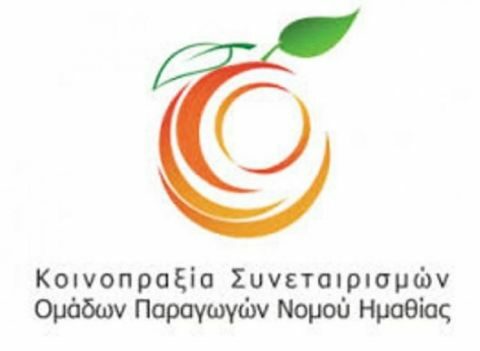 De minimis &kappa;&alpha;&iota; &pi;&alpha;&rho;ά&tau;&alpha;&sigma;&eta; &tau;&eta;&sigmaf; &eta;&mu;&epsilon;&rho;&omicron;&mu;&eta;&nu;ί&alpha;&sigmaf; &pi;&lambda;&eta;&rho;&omega;&mu;ή&sigmaf; &tau;&omega;&nu; &alpha;&sigma;&phi;&alpha;&lambda;&iota;&sigma;&tau;&iota;&kappa;ώ&nu; &epsilon;&iota;&sigma;&phi;&omicron;&rho;ώ&nu; (&Epsilon;&Lambda;&Gamma;&Alpha;) &tau;&omicron;&upsilon; 2018