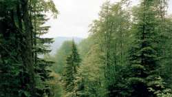 &Tau;&alpha; &epsilon;&nu;&epsilon;&nu;ή&nu;&tau;&alpha; &omicron;&kappa;&tau;ώ &delta;&alpha;&sigma;&iota;&kappa;ά &sigma;&upsilon;&mu;&pi;&lambda;έ&gamma;&mu;&alpha;&tau;&alpha; &tau;&eta;&sigmaf; &Epsilon;&lambda;&lambda;ά&delta;&alpha;&sigmaf; &sigma;&epsilon; &mu;&iota;&alpha; &epsilon;&phi;&alpha;&rho;&mu;&omicron;&gamma;ή &gamma;&iota;&alpha; &kappa;&iota;&nu;&eta;&tau;ά ή tablet