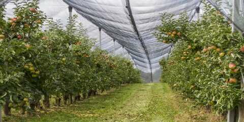 Έ&nu;&tau;&alpha;&xi;&eta; &sigma;&tau;&omicron; &Pi;&Alpha;&Alpha; 2014-2022 &tau;&eta;&sigmaf; &pi;&rho;ά&xi;&eta;&sigmaf; &mu;&epsilon; &tau;ί&tau;&lambda;&omicron; &laquo;&Upsilon;&lambda;&omicron;&pi;&omicron;ί&eta;&sigma;&eta; &delta;&eta;&mu;ό&sigma;&iota;&omega;&nu; &epsilon;&pi;&epsilon;&nu;&delta;ύ&sigma;&epsilon;&omega;&nu; &pi;&rho;ό&lambda;&eta;&psi;&eta;&sigmaf;, &sigma;&chi;&epsilon;&tau;&iota;&kappa;ά &mu;&epsilon; &tau;&eta; &sigma;&upsilon;&lambda;&lambda;&omicron;&gamma;&iota;&kappa;ή &epsilon;&nu;&epsilon;&rho;&gamma;&eta;&tau;&iota;&kappa;ή &pi;&rho;&omicron;&sigma;&tau;&alpha;&sigma;ί&alpha; &alpha;&pi;ό &chi;&alpha;&lambda;ά&zeta;&iota;&raquo;