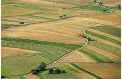 &Delta;&eta;&lambda;ώ&sigma;&epsilon;&iota;&sigmaf; &Omicron;&Sigma;&Delta;&Epsilon; - &Omicron;&rho;&theta;&omicron;&phi;&omega;&tau;&omicron;&chi;ά&rho;&tau;&epsilon;&sigmaf; 22 : Ό&sigma;&alpha; &pi;&rho;έ&pi;&epsilon;&iota; &nu;&alpha; &gamma;&nu;&omega;&rho;ί&zeta;&epsilon;&tau;&epsilon; &gamma;&iota;&alpha; &tau;&eta;&nu; &omicron;&rho;&theta;ή &delta;ή&lambda;&omega;&sigma;&eta; &tau;&omega;&nu; &omicron;&rho;ί&omega;&nu; &tau;&omega;&nu; &alpha;&gamma;&rho;&omicron;&tau;&epsilon;&mu;&alpha;&chi;ί&omega;&nu;