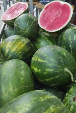 &Tau;&omicron; &theta;&alpha;&upsilon;&mu;&alpha;&tau;&omicron;&upsilon;&rho;&gamma;ό &kappa;&alpha;&lambda;&omicron;&kappa;&alpha;&iota;&rho;&iota;&nu;ό &phi;&rho;&omicron;ύ&tau;&omicron; &pi;&omicron;&upsilon; &epsilon;&nu;&upsilon;&delta;&alpha;&tau;ώ&nu;&epsilon;&iota; &kappa;&alpha;&iota; &epsilon;&nu;&iota;&sigma;&chi;ύ&epsilon;&iota; &tau;&omicron; &alpha;&nu;&omicron;&sigma;&omicron;&pi;&omicron;&iota;&eta;&tau;&iota;&kappa;ό