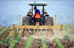 &Chi;&rho;&eta;&sigma;&iota;&mu;&omicron;&pi;&omicron;&iota;&epsilon;ί&sigmaf; &Gamma;&Epsilon;&Omega;&Rho;&Gamma;&Iota;&Kappa;&Alpha; &Phi;&Alpha;&Rho;&Mu;&Alpha;&Kappa;&Alpha;; &Tau;ό&tau;&epsilon; &chi;&rho;&epsilon;&iota;ά&zeta;&epsilon;&sigma;&alpha;&iota; &pi;&iota;&sigma;&tau;&omicron;&pi;&omicron;&iota;&eta;&tau;&iota;&kappa;ό &omicron;&rho;&theta;&omicron;&lambda;&omicron;&gamma;&iota;&kappa;ή&sigmaf; &chi;&rho;ή&sigma;&eta;&sigmaf; &gamma;&epsilon;&omega;&rho;&gamma;&iota;&kappa;ώ&nu; &phi;&alpha;&rho;&mu;ά&kappa;&omega;&nu;